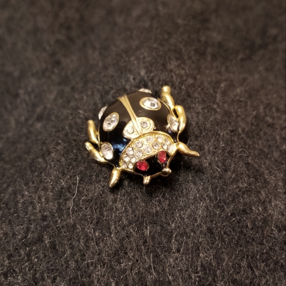 Beetle bug goldtone brooch